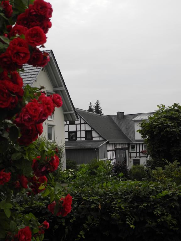 Apartamento Wilkenhof Willingen  Exterior foto